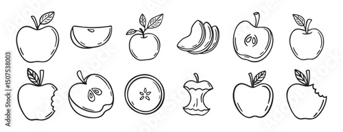  apple doodle hand drawn icon set. Outline drawing apple line clipart symbol collection