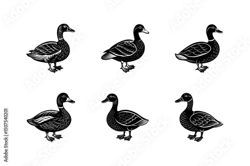 set of geese vector art