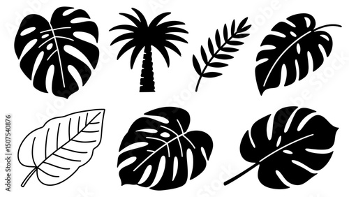 Vector tropical foliage featuring monstera leaves and a palm tree in a botanical arrangement graphic design on transparent background