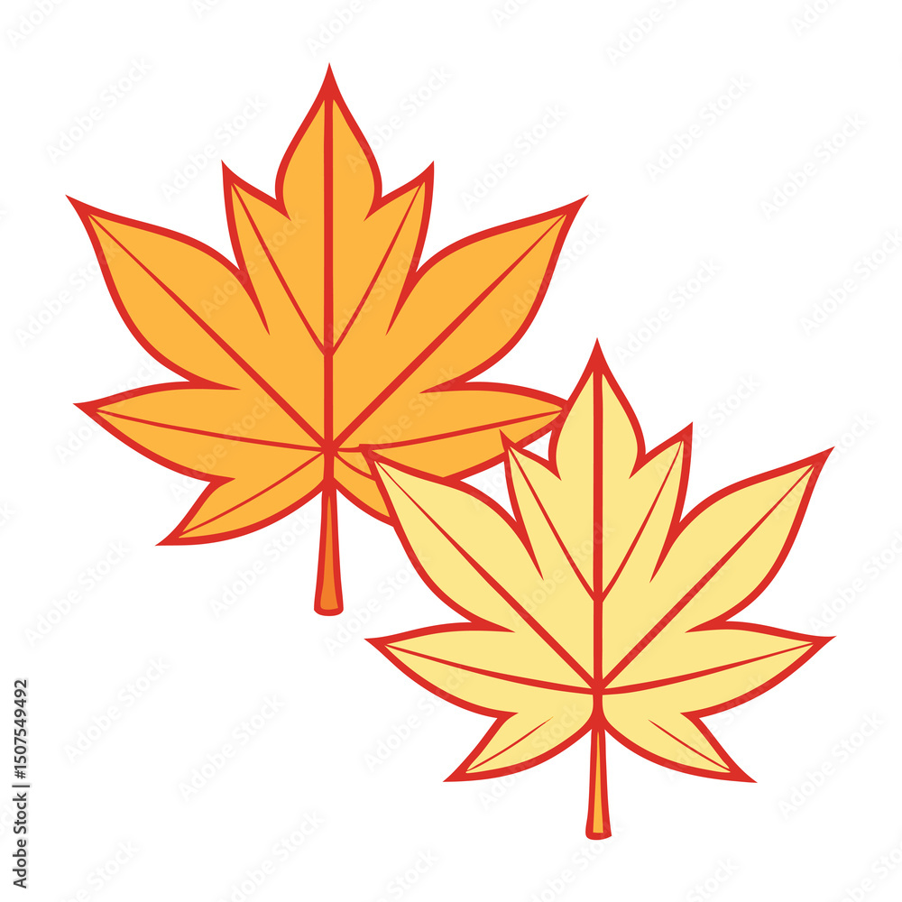 Two autumn maple leaves design element Two autumn maple leaves design element