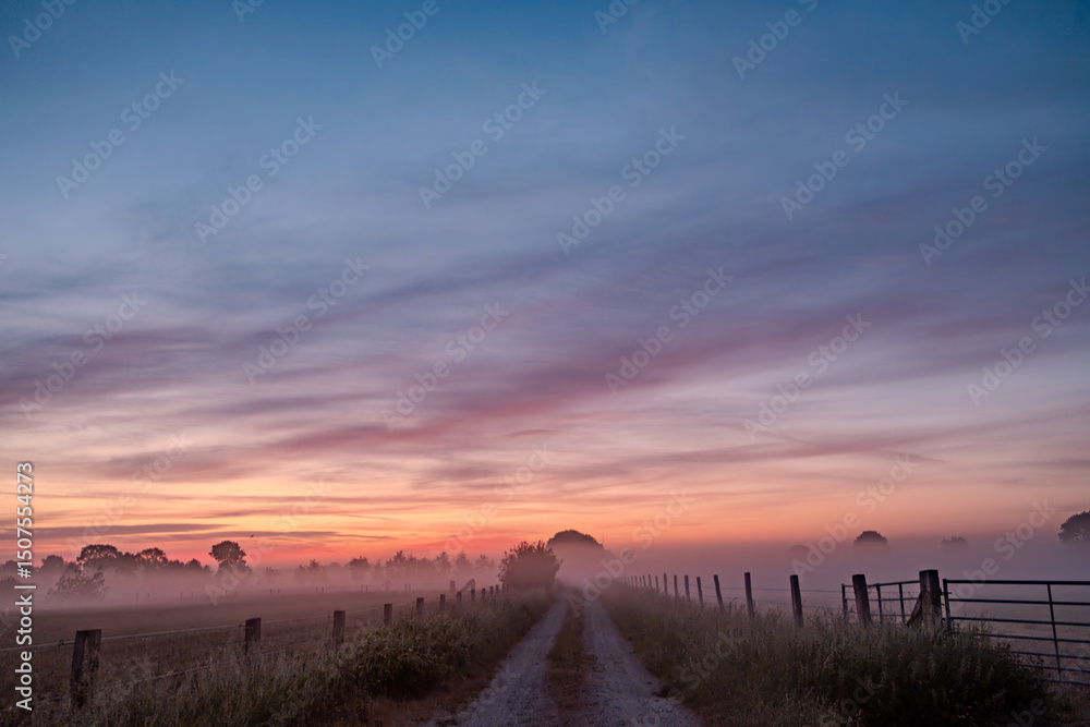 Obraz premium A tranquil country road is enveloped in a gentle mist, beautifully illuminated by a stunning sunrise