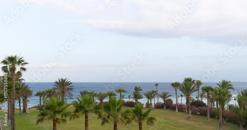 Time lapse. Play of sunlight and shadow from passing clouds in a palm garden at a luxury seaside resort with the blue sea background. A man plays with his dog in the garden enjoying a warm summer day