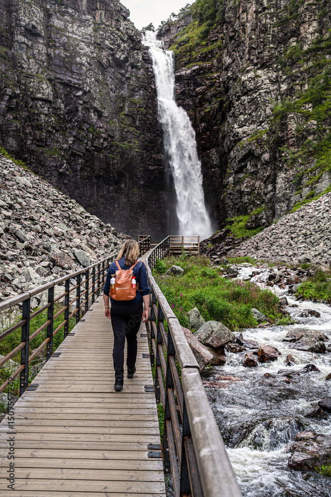 Obraz premium Female hiker walks over a wooden boardwalk in a deep gorge, approaching Njupeskär Waterfall in Fulufjället National Park, surrounded by gray rocky cliffs and lush green in Dalarna Sweden