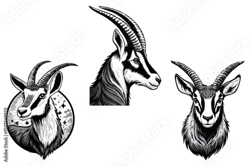 Black and white vector illustration of a chamois head with curved horns, Alpine chamois (Rupicapra rupicapra)