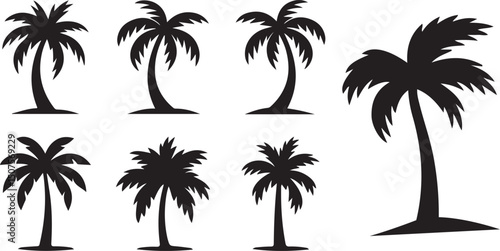 Palm tree silhouettes black flat set, Tropical trees simple black line design