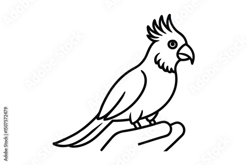 Line art illustration of a cockatoo perched on a hand