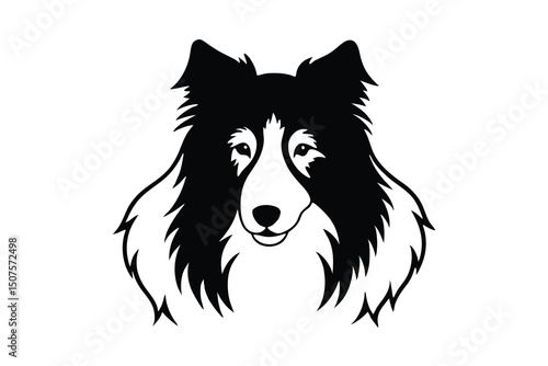 Shetland sheepdog silhouette elegant dog breed portrait