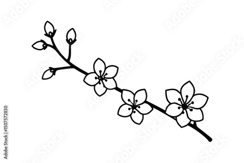 Simple line drawing of cherry blossom branch with flowers and buds