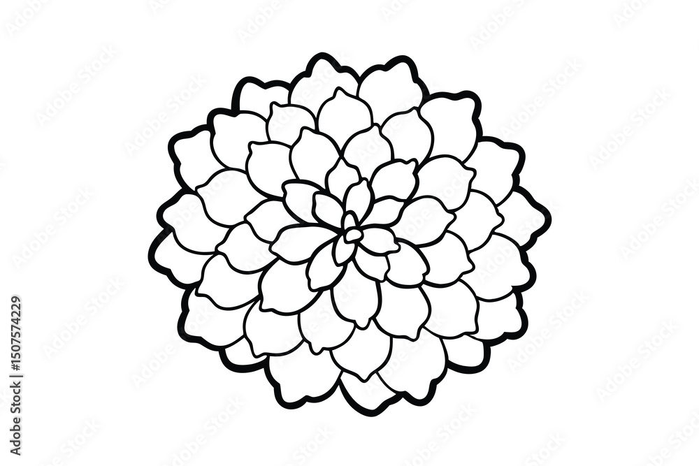 Elegant black and white line art flower dahlia design Elegant black and white line art flower dahlia design
