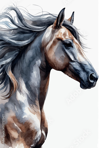 Elegant watercolor vector portrait of horse in profile view