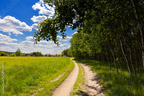 Wolny czas, leśna zielona ścieżka na spacer lub rower, polski krajobraz letni, tło lub tapeta © anettastar