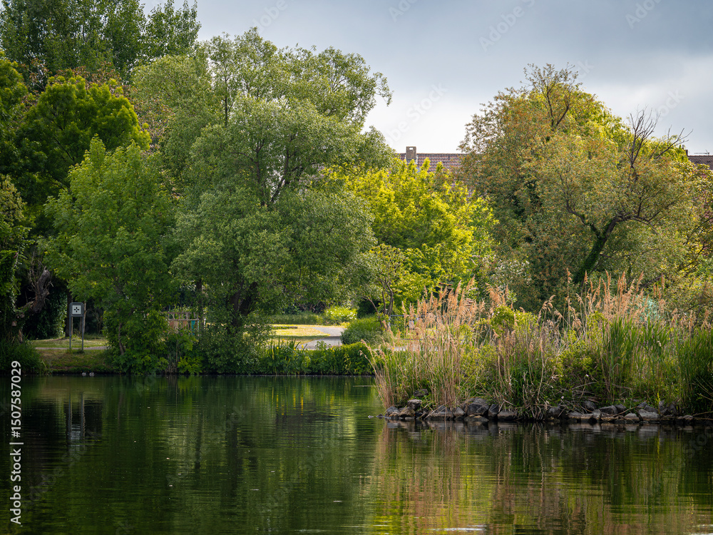 Obraz premium Park on the river