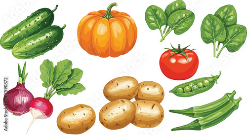 Watercolor vegetables Set with transparent background
