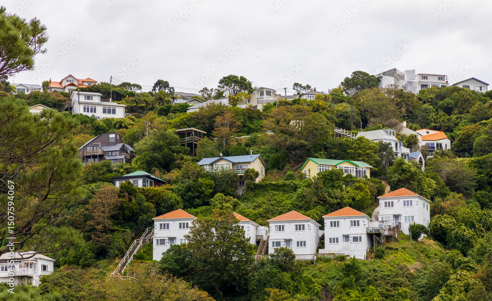 Obraz premium Cityscape of Wellington capital city of New Zealand. Aerial View from Kelburn Park