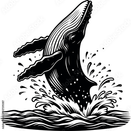 Whale breaching the surface of the ocean