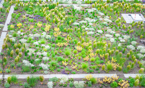 Large ecological green roof including sedum