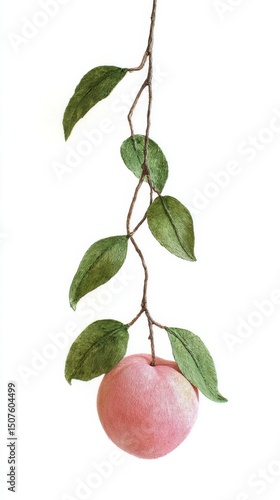 Fresh Peach Hanging From a Branch With Green Leaves in Bright Light Setting