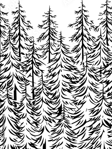 Reforestation project capturing carbon, vector illustration