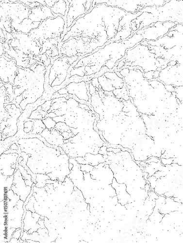Satellite view showing forest fragmentation, vector graphic