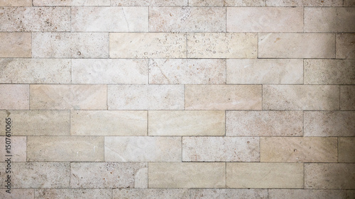 wall tiled with shell rock boards