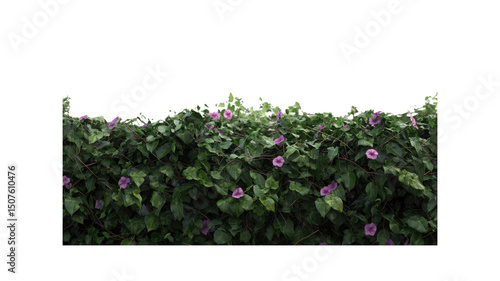 Lush Green Vine Wall with Delicate Purple Flowers