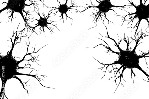 Neurons activating across multiple pathways, vector design
