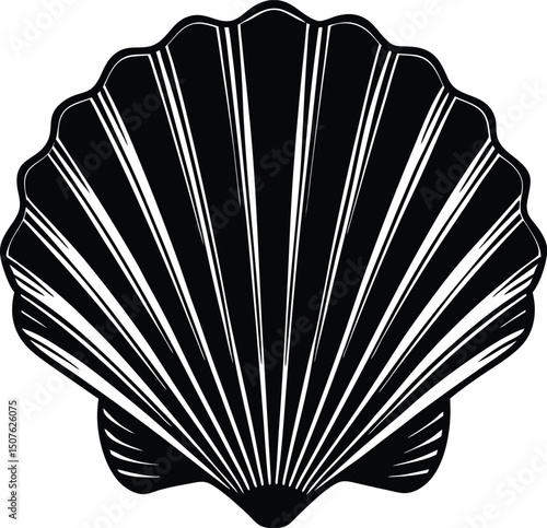 scallop shell vector design
