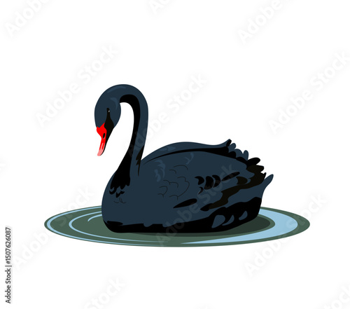 Gorgeous lonely black swan swimming in water of pond or lake. Adorable cartoon wild bird, game fowl or waterfowl. Flat colorful hand drawn vector illustration in modern trendy style