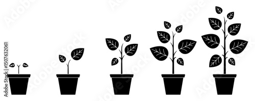 Plant growth stages icon set in black silhouette. Vector illustration of potted plant growing from seedling to mature. Concept of progress, development, ecology, agriculture, and sustainability.