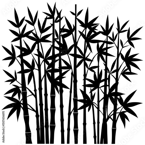 bamboo bush vector illustration on a white background.