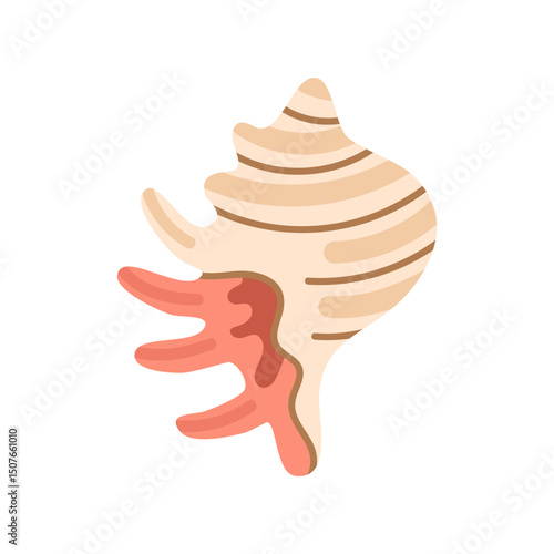 Curved conch shell with coral-like growth on side