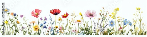 Wallpaper Mural colorful wildflowers in horizontal composition against white background, watercolor illustration, floral banner, field poppies, daisies, blue and yellow flowers. website header footer textile design Torontodigital.ca