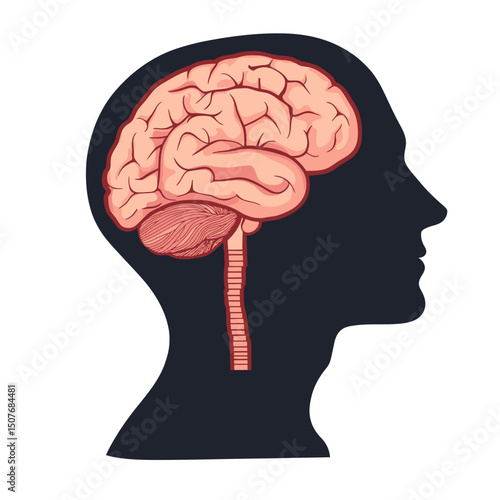 Modern illustration of a human brain in the head depicted in a flat design style
