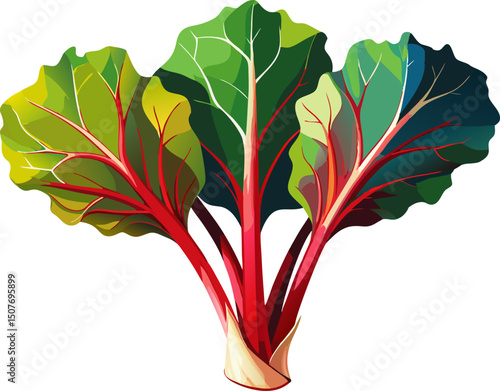 rhubarb stalks harvested and vector isolated., A rhubarb stalk with red color on a white background
