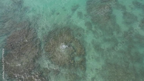 Drone Aerial shot of turquoise ocean