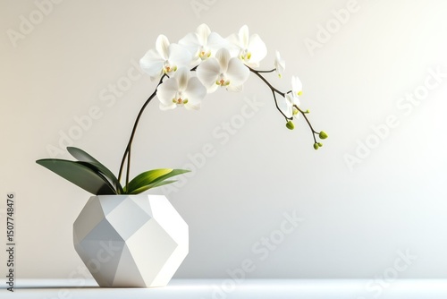 Elegant white orchid flower in a geometric white ceramic pot on a plain light background perfect for botanical and floral decor or nature themed designs