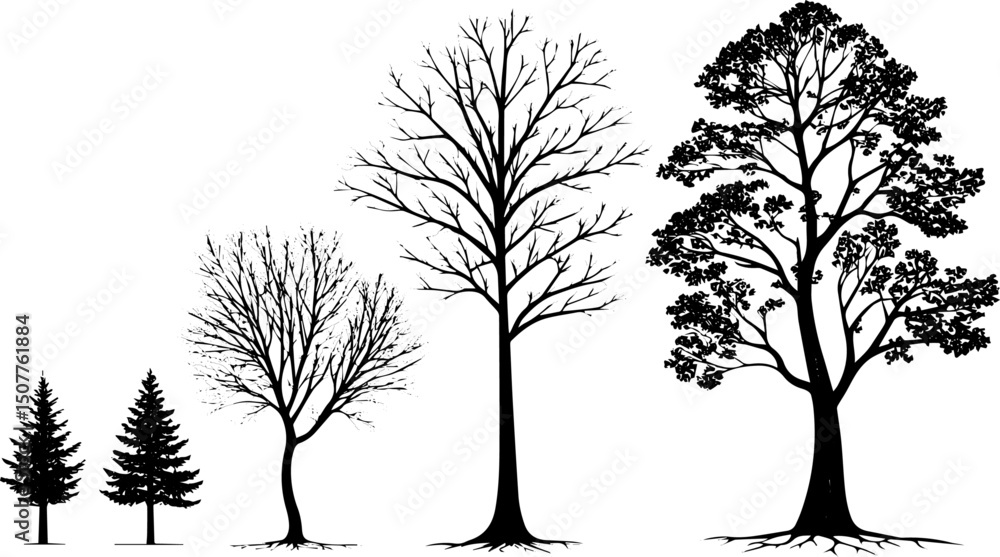 Fototapeta premium Tree Growth Stages Silhouette Vector, Realistic Black Tree Illustrations from Sapling to Mature Forest Trees