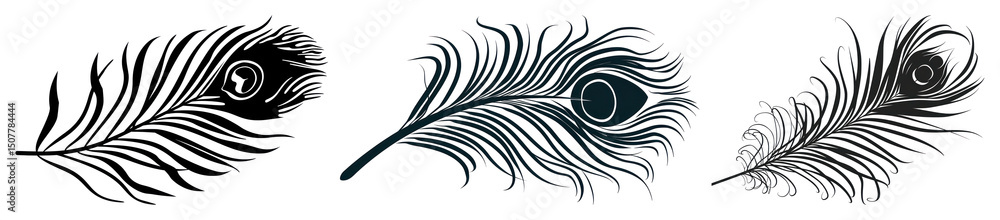 Fototapeta premium PNG Peacock feather flying silhouette black white, transparent background