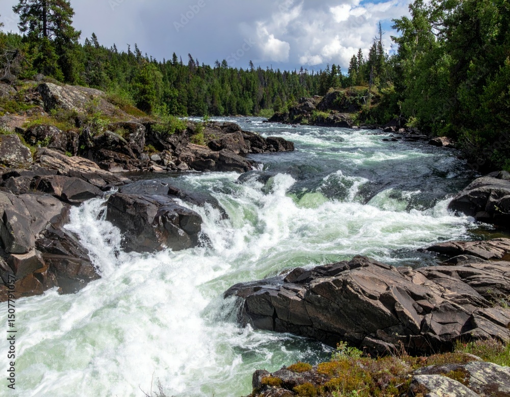 Obraz premium Majestic Flowing River Over Rocks in Lush Green Wilderness Landscape