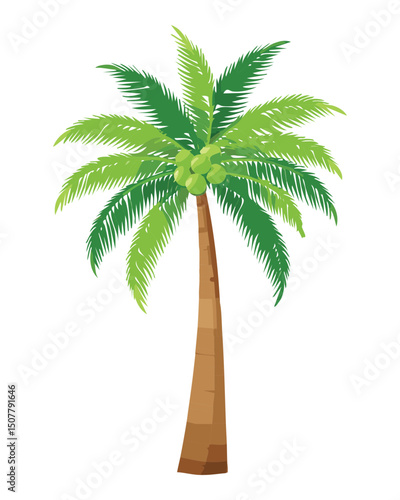 Tropical palm tree with broad green fronds