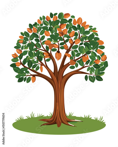 Citrus tree with yellow green fruits
