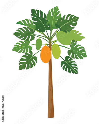 Papaya Fruit Tree Illustration