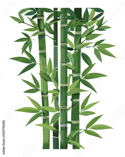 Dense bamboo grove with overlapping stalks
