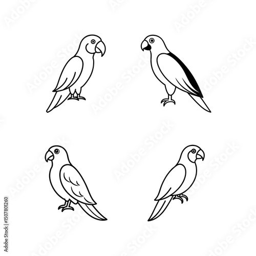 Vector illustration set of Parrot line art