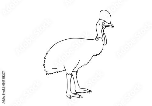 Cassowary drawing. This black and white outline illustrates a cassowary, a large and distinctive flightless bird known for its casque and vibrant wattles. Vector sketch line art draw.