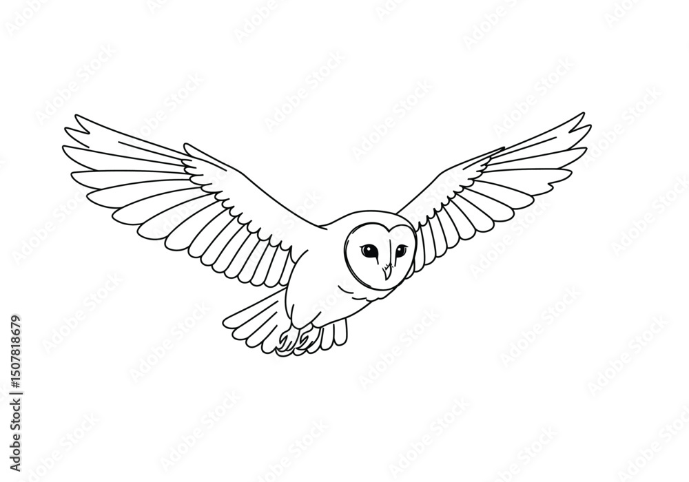 Obraz premium Flying owl drawing. This black and white outline depicts a barn owl or snowy owl in majestic flight with its wings fully extended. Vector sketch line art draw.
