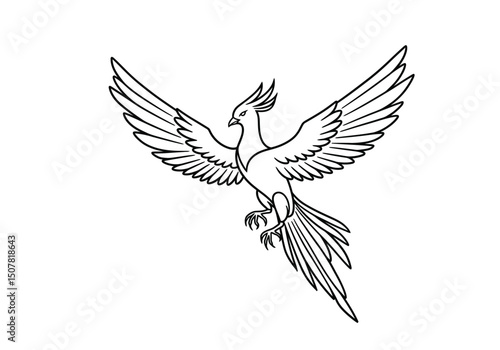 Fire bird drawing. This black and white outline depicts a mythical firebird or phoenix with widespread wings, symbolizing rebirth and power. Vector sketch line art draw.