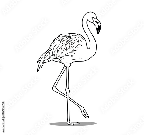 Flamingo bird drawing. This black and white outline illustrates a tall, graceful flamingo, known for its long legs and distinctive S-shaped neck. Vector sketch line art draw.