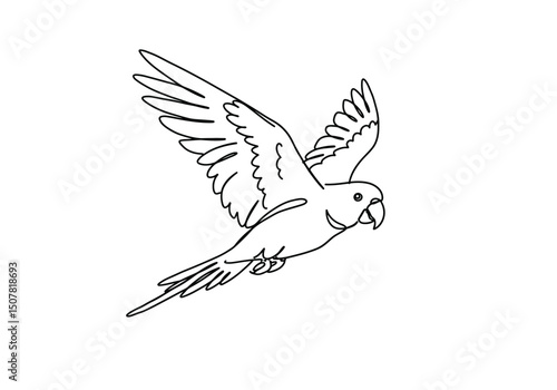 Flying parrot drawing. This black and white outline depicts a parrot or parakeet in dynamic flight with its wings spread, ideal for coloring. Vector sketch line art draw.