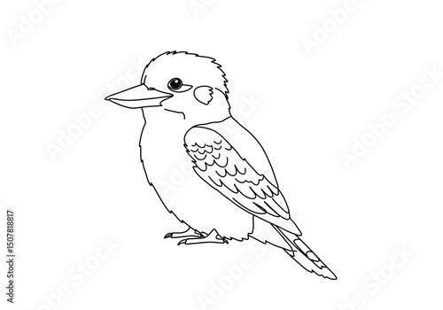Kookaburra drawing. This black and white outline depicts a kookaburra, an iconic Australian bird known for its distinctive call and robust beak. Vector sketch line art draw.